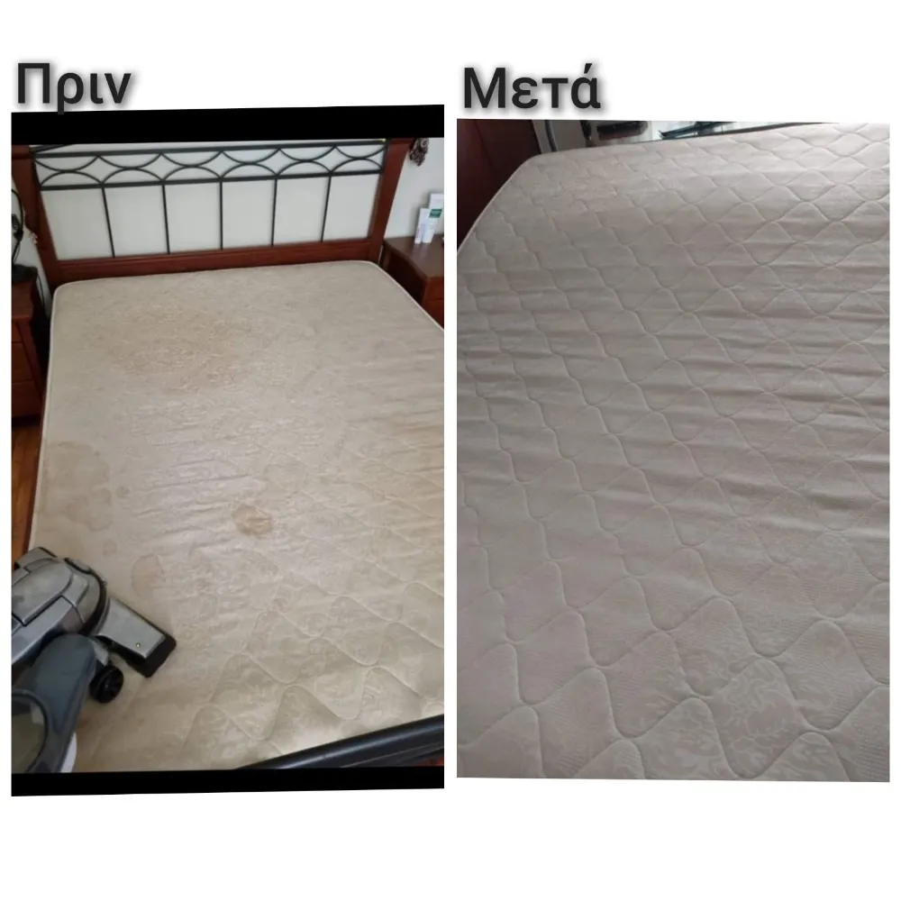 Bio 2 Stroma Bio 2 Stroma